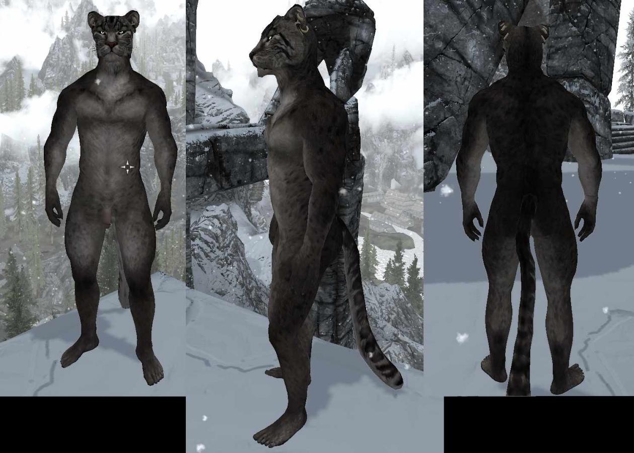 Better Khajiit Male Body Texture For Sos Body Skyrim Adult Mods